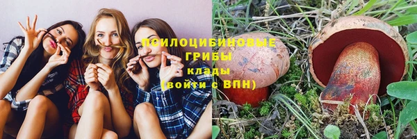 марки lsd Белокуриха