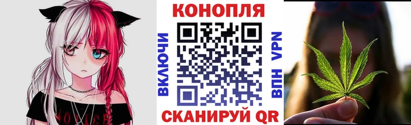 Бошки Шишки OG Kush  цена наркотик  Дигора 